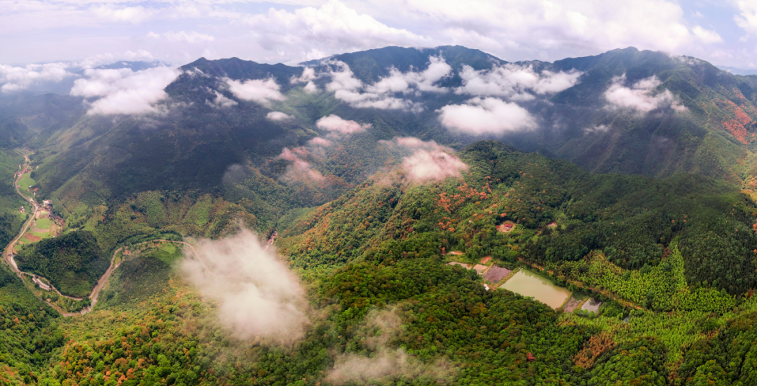 九阜山全貌。三明市融媒體中心供圖
