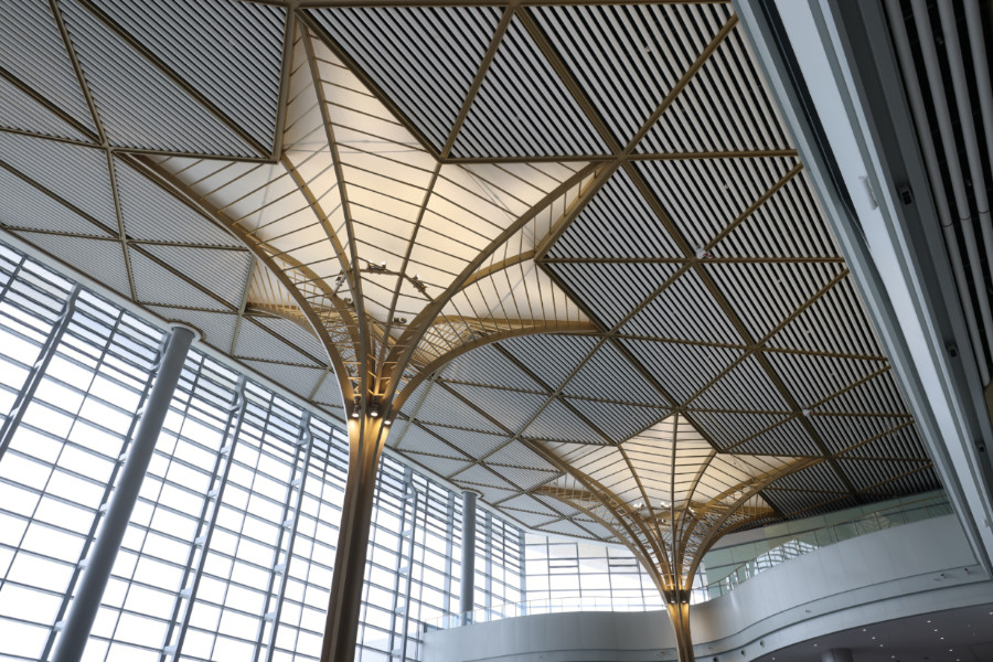 福州南站榕樹型支柱。李響攝