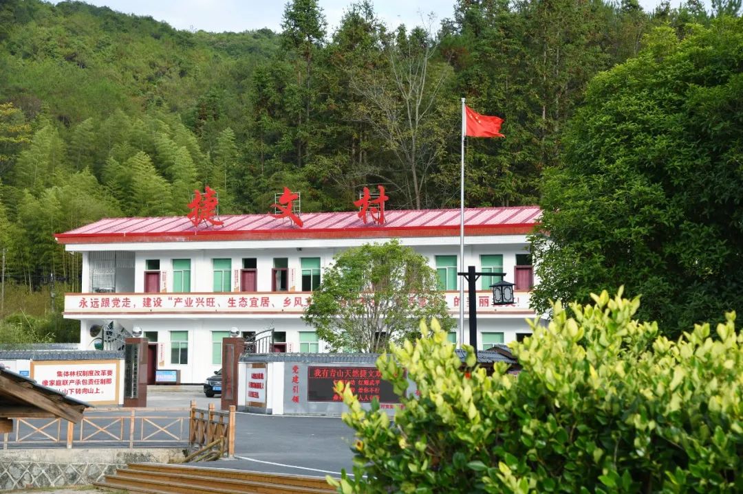 武平縣萬安鎮(zhèn)捷文村。武平縣委組織部供圖