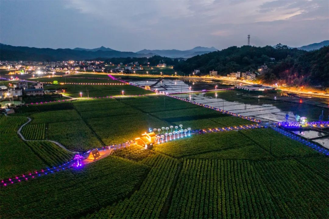 武平縣巖前鎮(zhèn)大布之夜。武平縣委組織部供圖