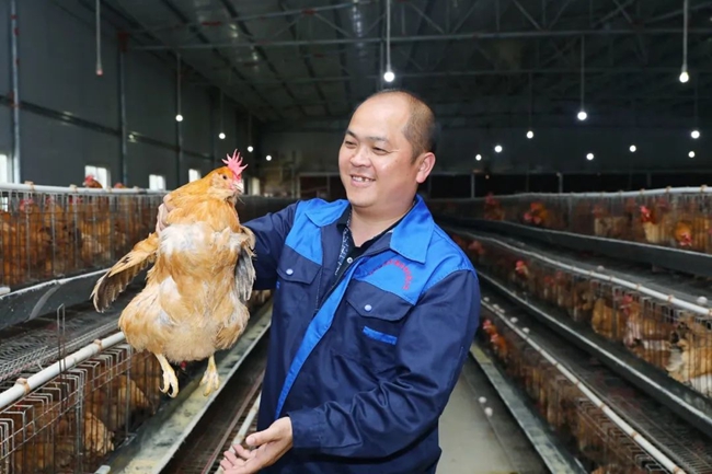 展示“象洞雞”。