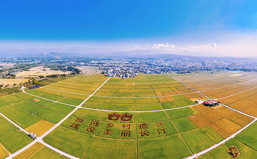 9月29日，龍巖長(zhǎng)汀縣河田鎮(zhèn)南塘村水稻漲勢(shì)喜人。李碧春攝
