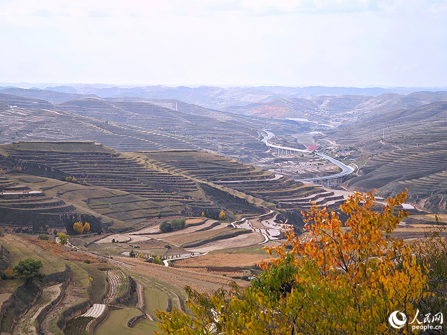 固原市西吉縣梯田美景。人民網(wǎng) 黃東儀攝
