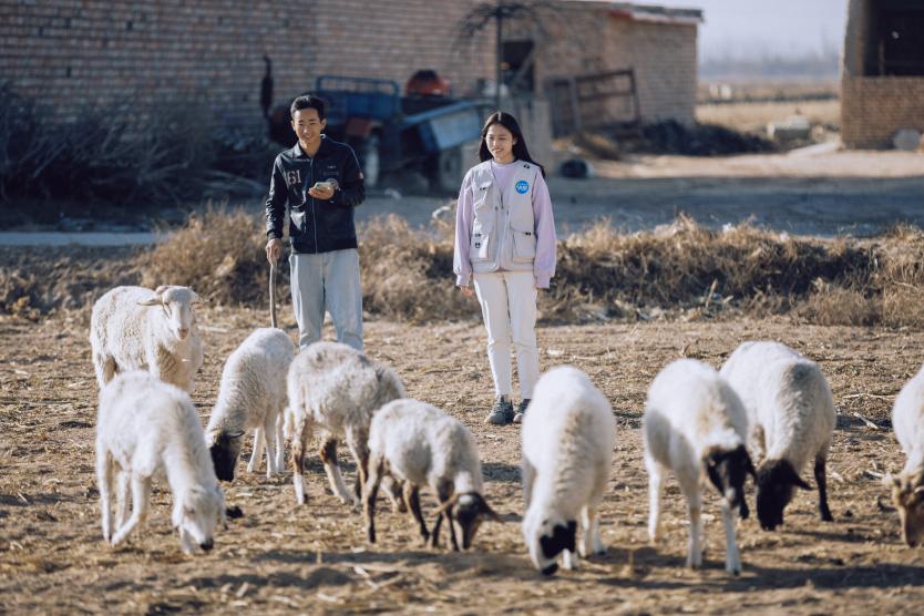 采風(fēng)團(tuán)參與閩寧鎮(zhèn)日常生活。王卿攝