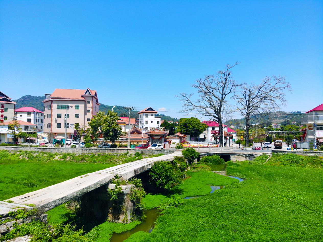 后溪鎮(zhèn)二農(nóng)社區(qū)埭溪橋社是集美區(qū)鄉(xiāng)村振興的綠色實(shí)踐。集美區(qū)融媒體中心供圖