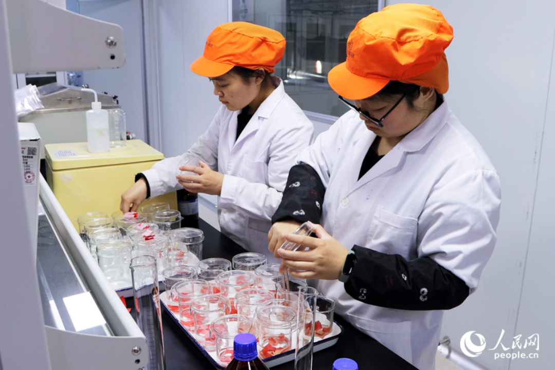 在南王科技研發(fā)中心，工作人員在做實驗。人民網(wǎng)記者 劉卿攝