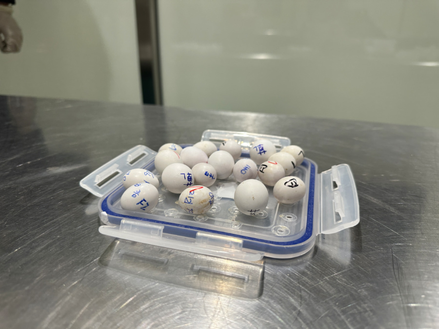 近日，廈門海關(guān)在入境旅客攜帶行李中查獲用紙巾包裹的禽蛋。陳瀚攝