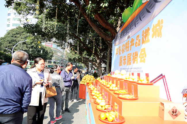 現(xiàn)場，不少市民駐足選購華安縣農(nóng)特產(chǎn)品。陳蕾攝