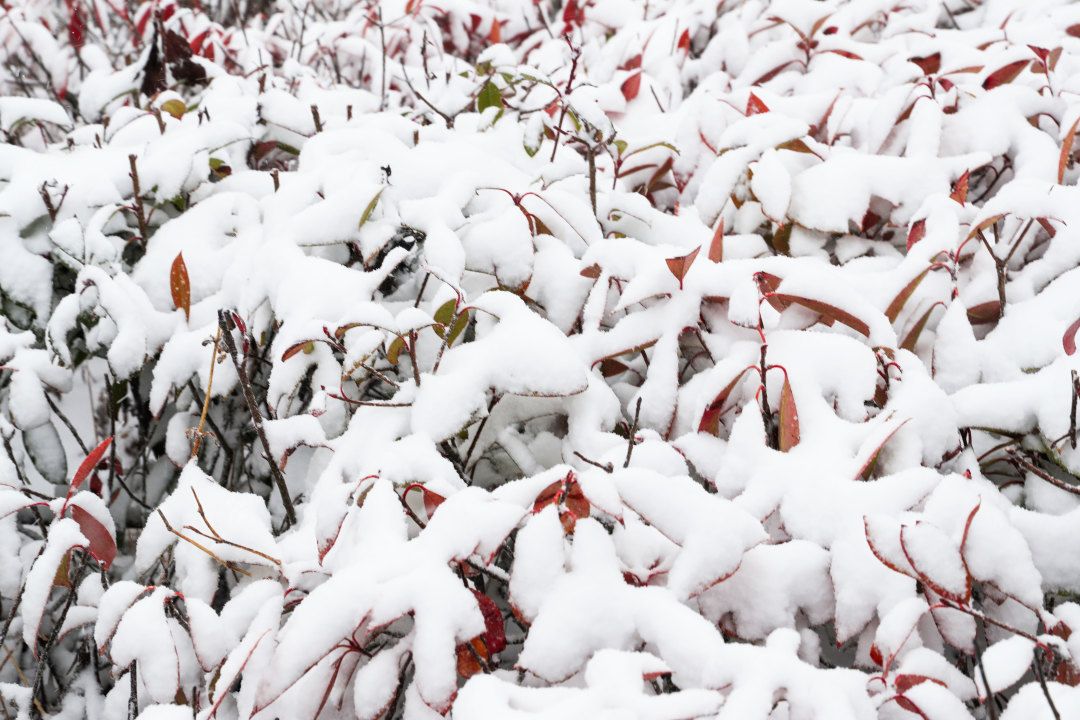 南平武夷山分水關(guān)銀裝素裹。邱汝泉攝