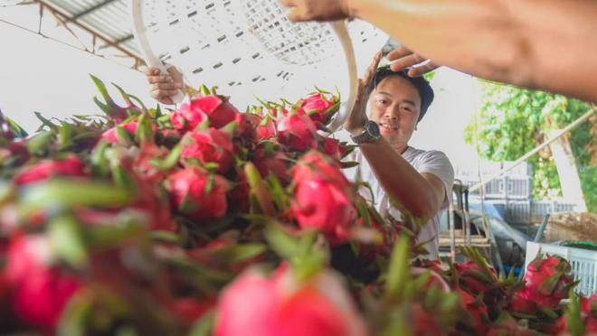 大宅村村民臉上洋溢著豐收的喜悅。 人民網(wǎng)記者 陳博攝