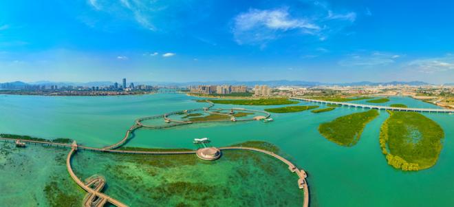 下潭尾紅樹林公園。人民網(wǎng)記者 陳博攝