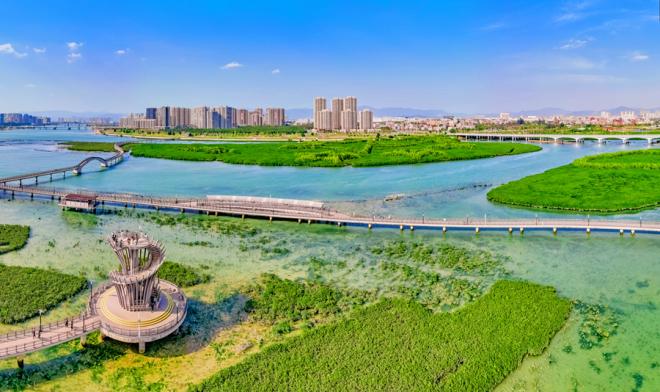 下潭尾紅樹林公園。人民網(wǎng)記者 陳博攝