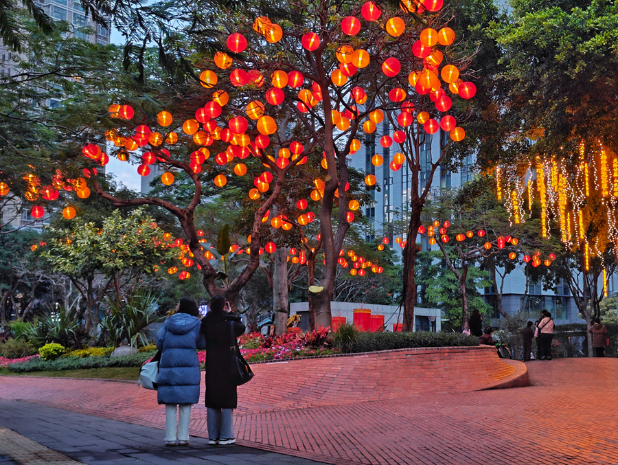 市民游客在美仁園內(nèi)賞燈籠。胡康強(qiáng)攝