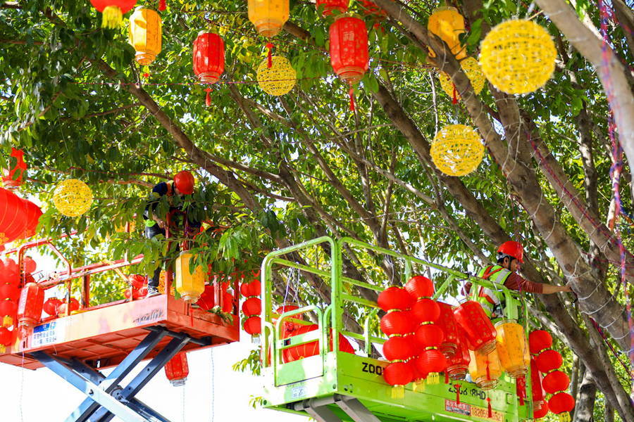 工作人員將燈籠掛上行道樹。陳志強(qiáng)攝