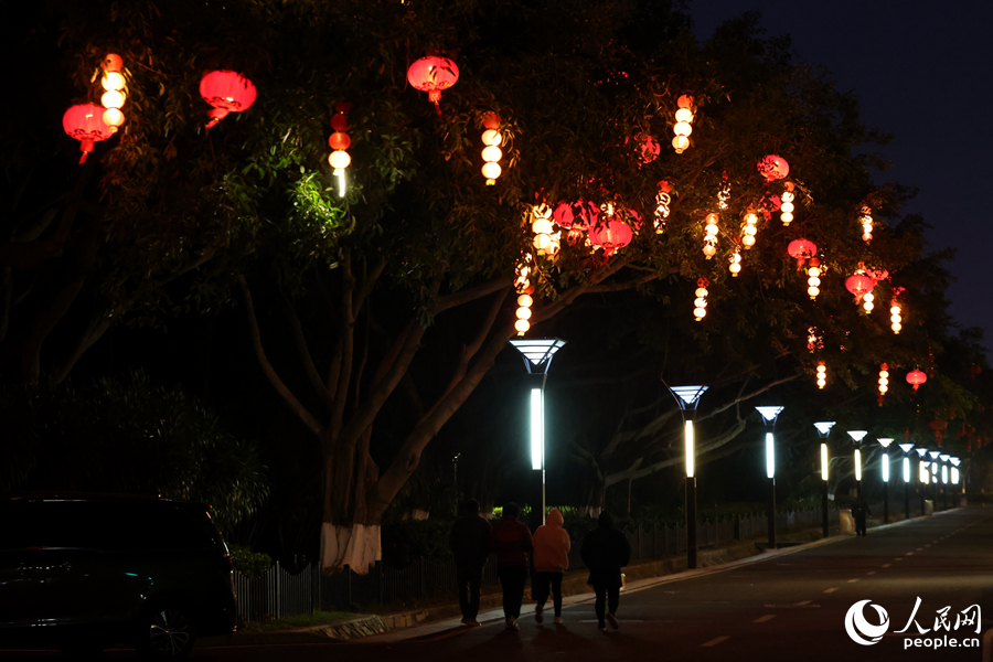 廈門思明環(huán)島路兩側(cè)掛滿燈籠。人民網(wǎng)記者 陳博攝