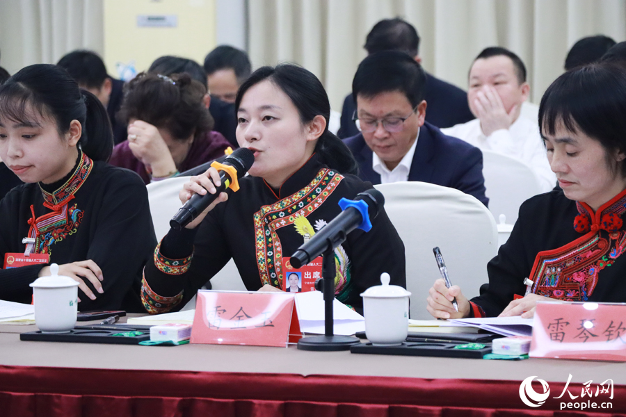 與會(huì)代表在代表團(tuán)會(huì)議中踴躍發(fā)言。人民網(wǎng)記者 劉卿攝