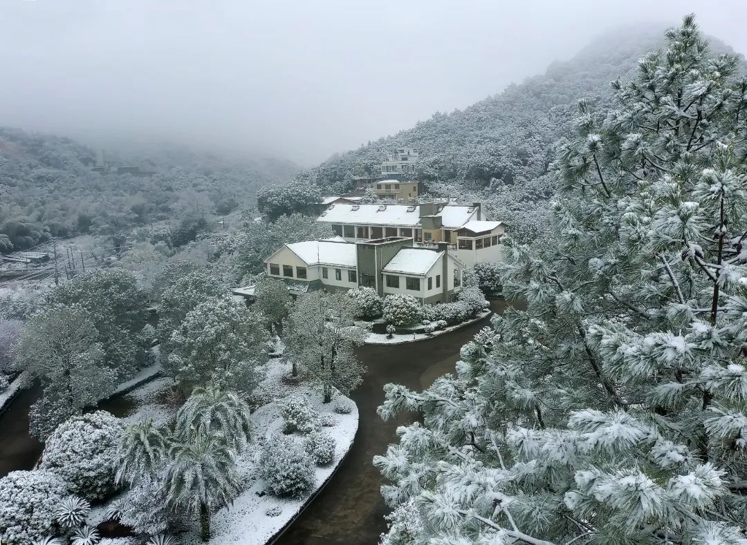 福州植物園北峰林場。王童攝
