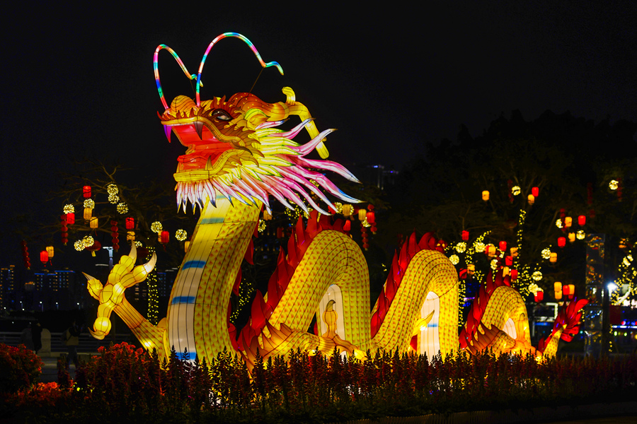 濱湖北路旁金龍橫臥，新年氛圍感拉滿。楊勁堅攝