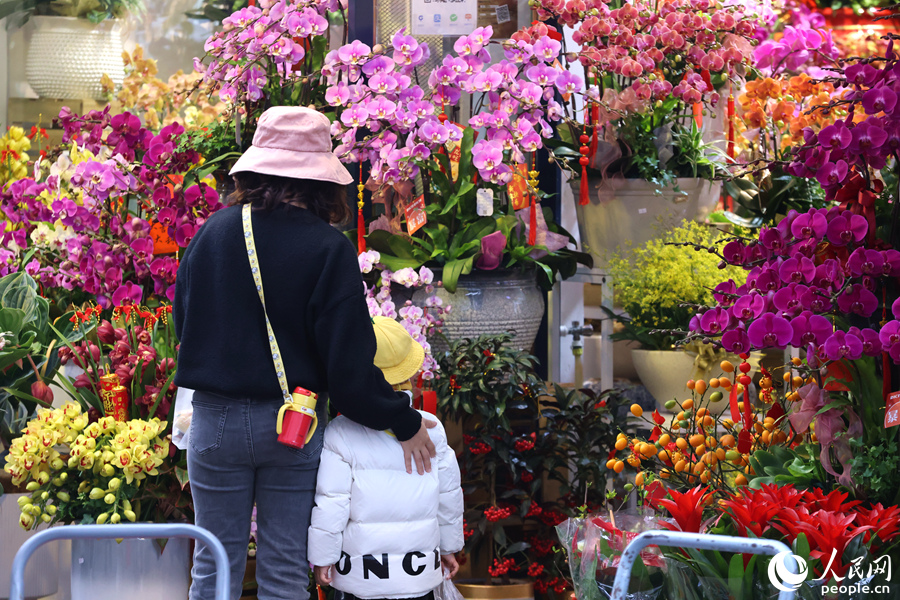 廈門新年花市中，一對母女駐足觀賞五顏六色的蝴蝶蘭。人民網(wǎng)記者 陳博攝