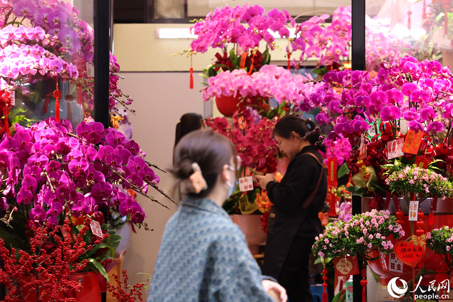 花姿婀娜的蝴蝶蘭，美得讓人忍不住想多看一眼。人民網(wǎng)記者 陳博攝