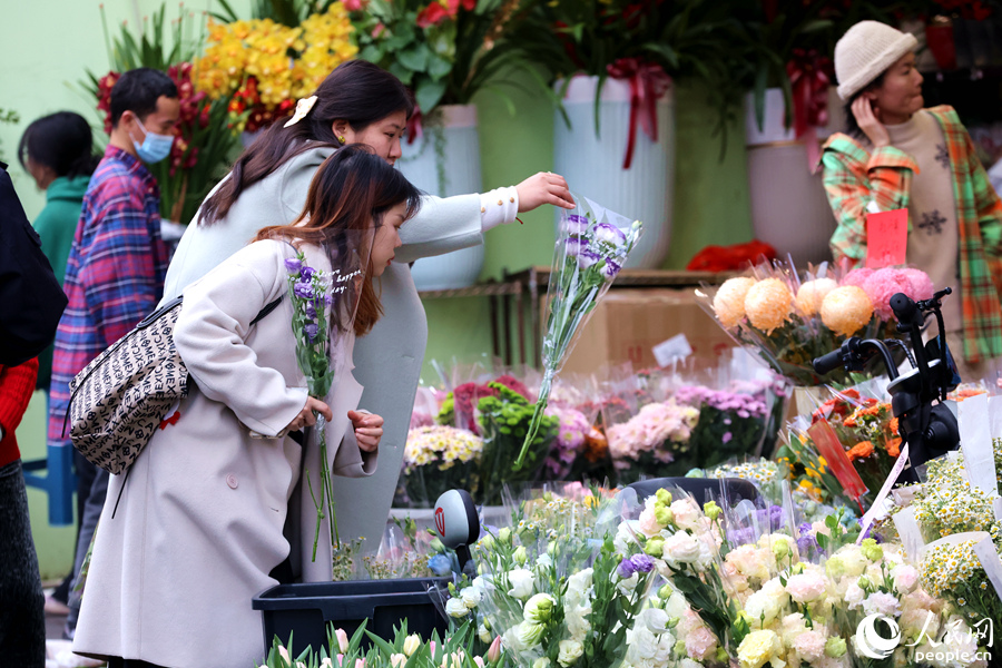 相較于盆景，年輕消費者偏愛購買鮮切花。人民網(wǎng)記者 陳博攝