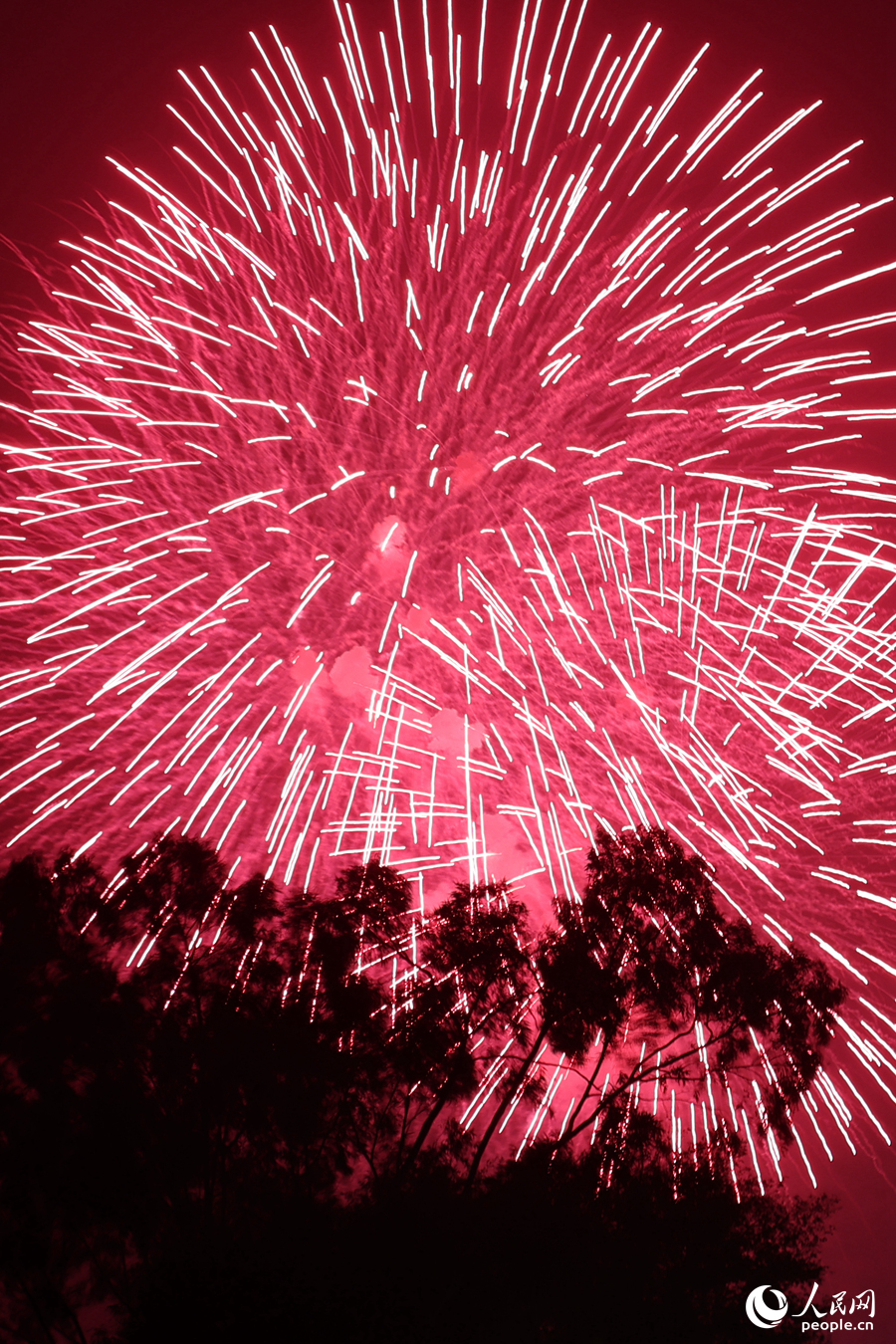 紅紅火火，點燃龍年的希望。人民網(wǎng)記者 陳博攝