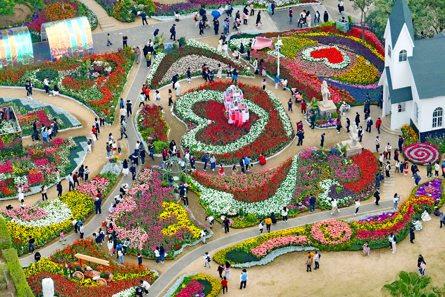 廈門園博苑郁金香花展游人如織，熱鬧非凡。林麗華攝