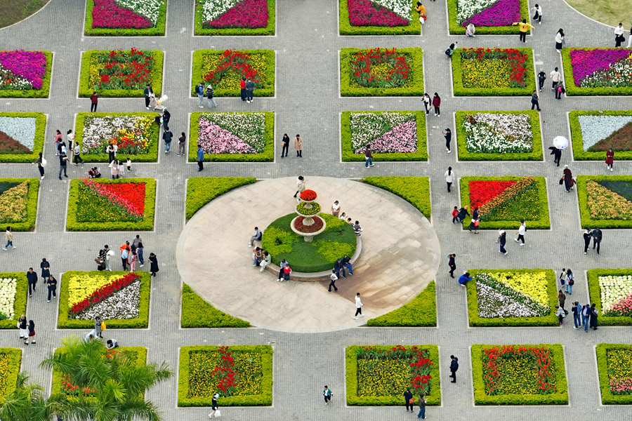 不同色系的郁金香搭配各式元素，猶如調色盤一般美麗動人。林麗華攝