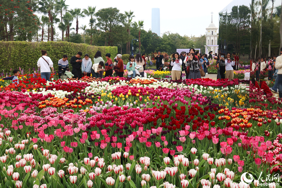 各色郁金香爭奇斗艷，形成一道道花浪。人民網(wǎng)記者 陳博攝