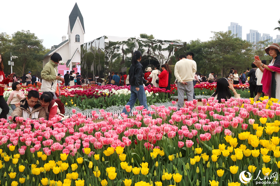 市民游客漫步花海之間。人民網(wǎng)記者 陳博攝
