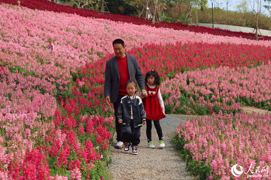市民游客漫步花田小徑。人民網(wǎng)記者 陳博攝