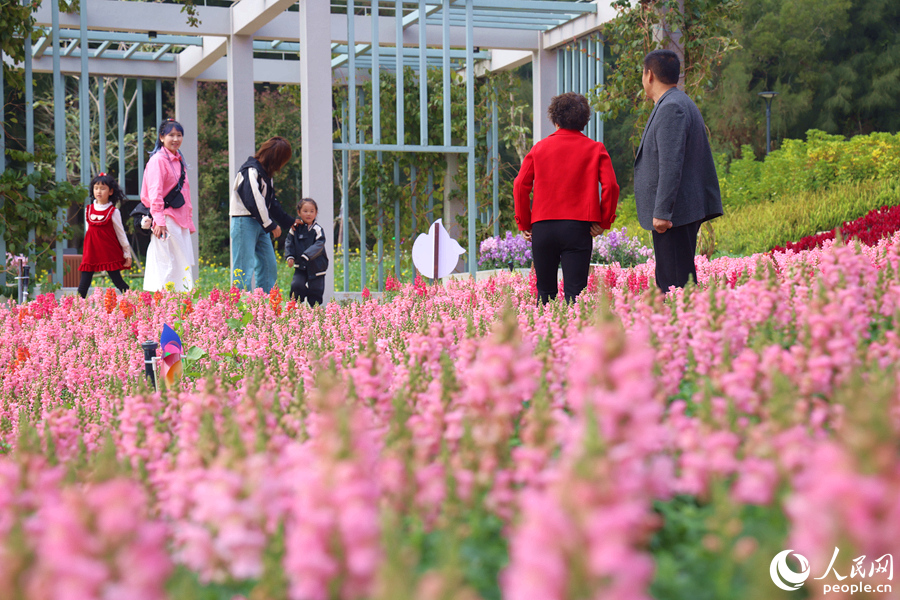 梅?；ㄅ_(tái)游人如織，上山賞春的市民游客絡(luò)繹不絕。人民網(wǎng)記者 陳博攝
