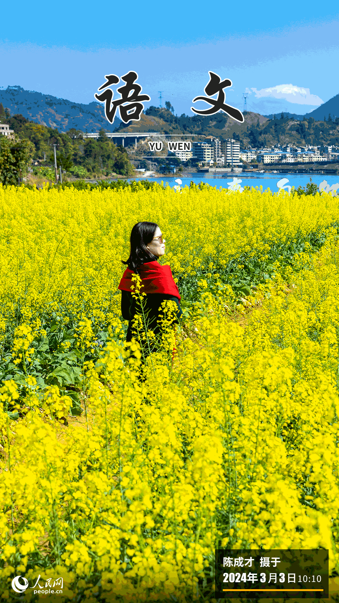進(jìn)入三月，福州市永泰縣赤錫鄉(xiāng)的油菜花田迎春綻放，金黃的花海洋溢著醉人的春意，美不勝收，吸引不少游客踏青賞花。