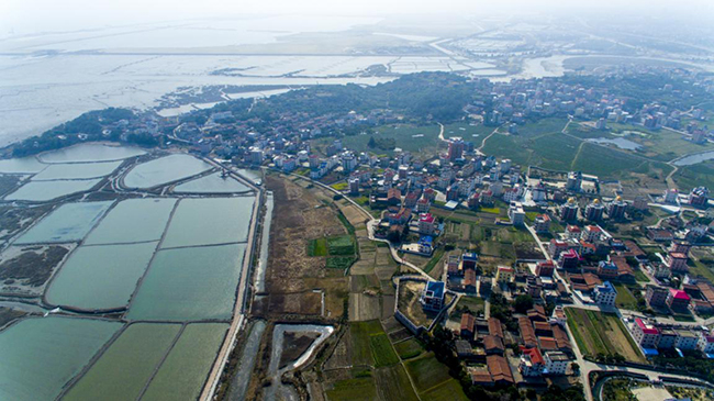 福清市新厝鎮(zhèn)江兜村鳥(niǎo)瞰圖。福清市新厝鎮(zhèn)供圖