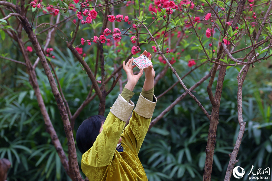 游客高舉手機(jī)拍攝桃花美景。人民網(wǎng)記者 陳博攝