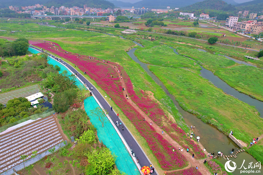 田洋溪畔格?；ňd延千余米。人民網(wǎng)記者 陳博攝