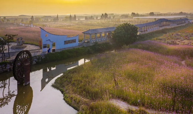 閩江河口國家濕地公園。長樂區(qū)融媒體中心供圖