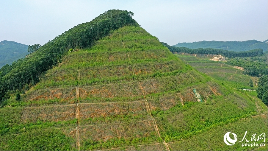 獅山-周福廢棄礦山采取分級削坡等修復措施后，一派綠意盎然景象。人民網(wǎng) 李昌乾攝