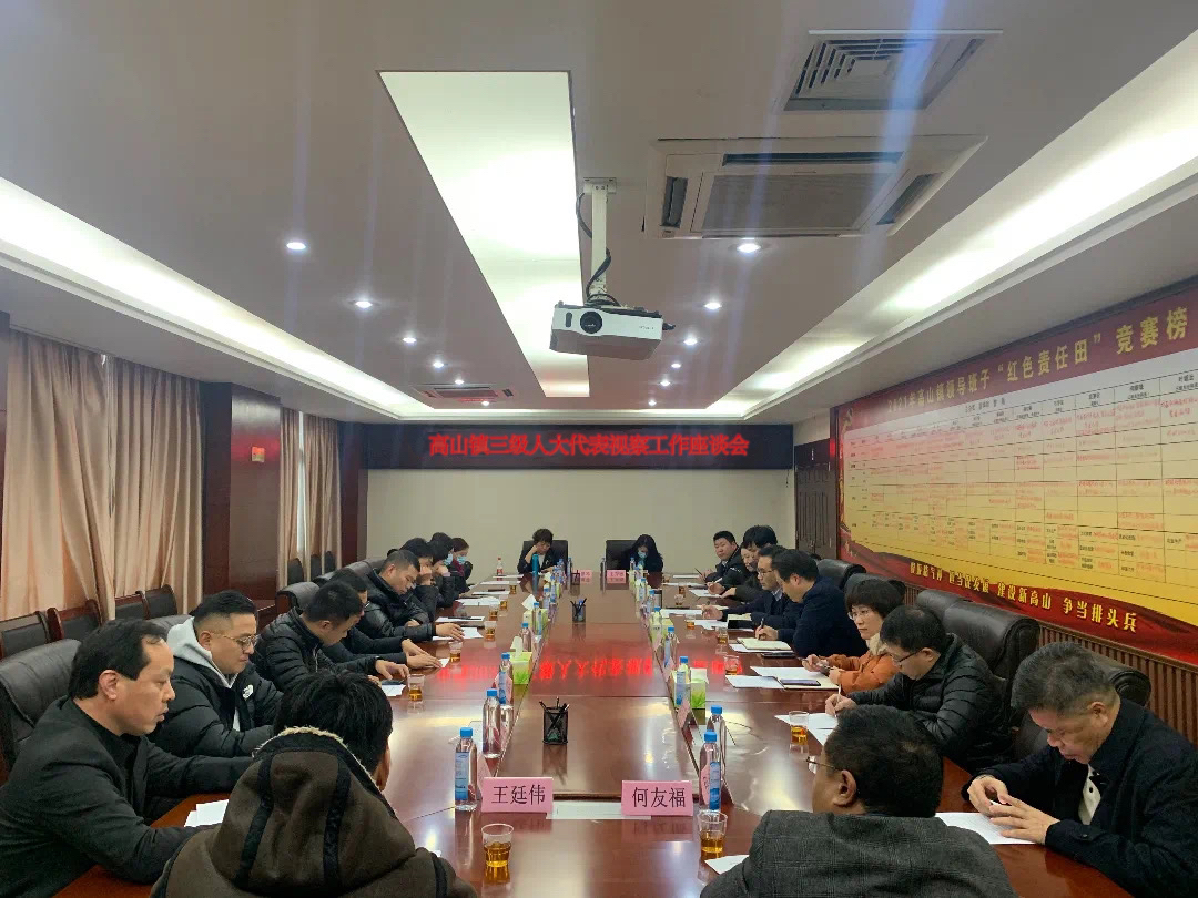 三級(jí)人大代表視察工作座談會(huì)。高山鎮(zhèn)供圖