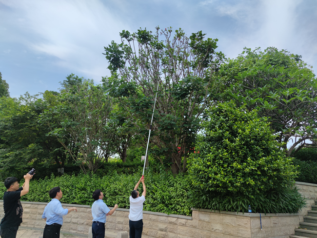 市區(qū)濱海公園“古老”刺桐標(biāo)本采集現(xiàn)場。泉州市林業(yè)局供圖