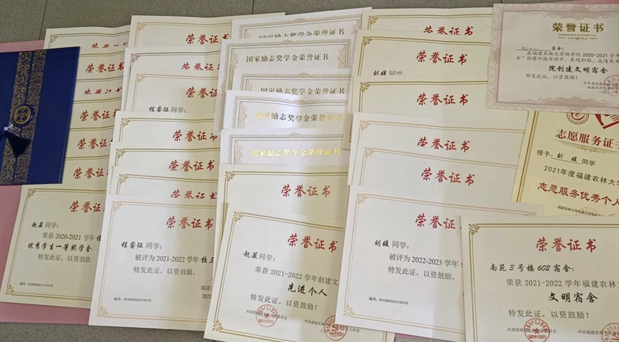 宿舍成員們大學(xué)四年所獲得的獎(jiǎng)狀。劉媛供圖