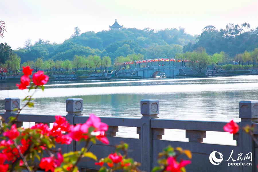 福州西湖一隅。人民網(wǎng) 黃東儀攝