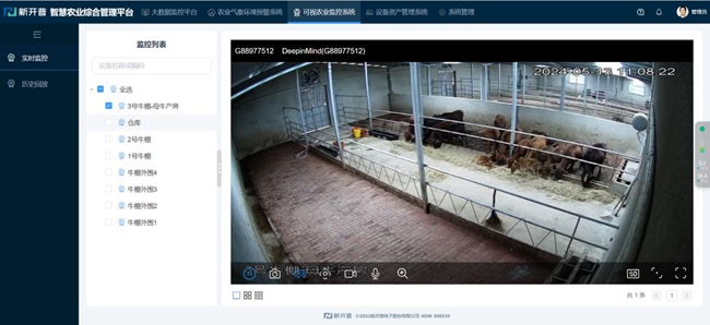 智慧養(yǎng)牛系統(tǒng)。南嶺吉家合作社供圖