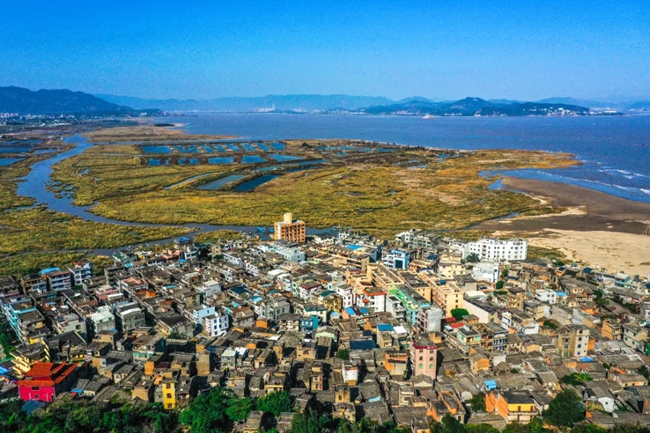 梅花鎮(zhèn)。