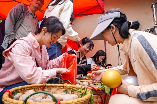 土豆趣味活動(dòng)區(qū)。