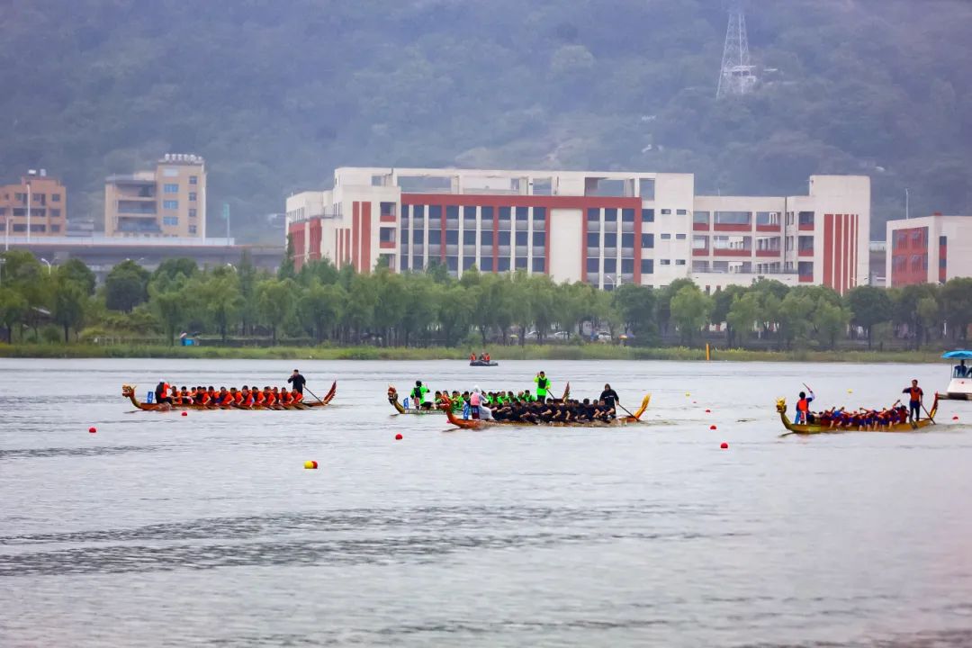 龍舟比賽。王圣潔攝