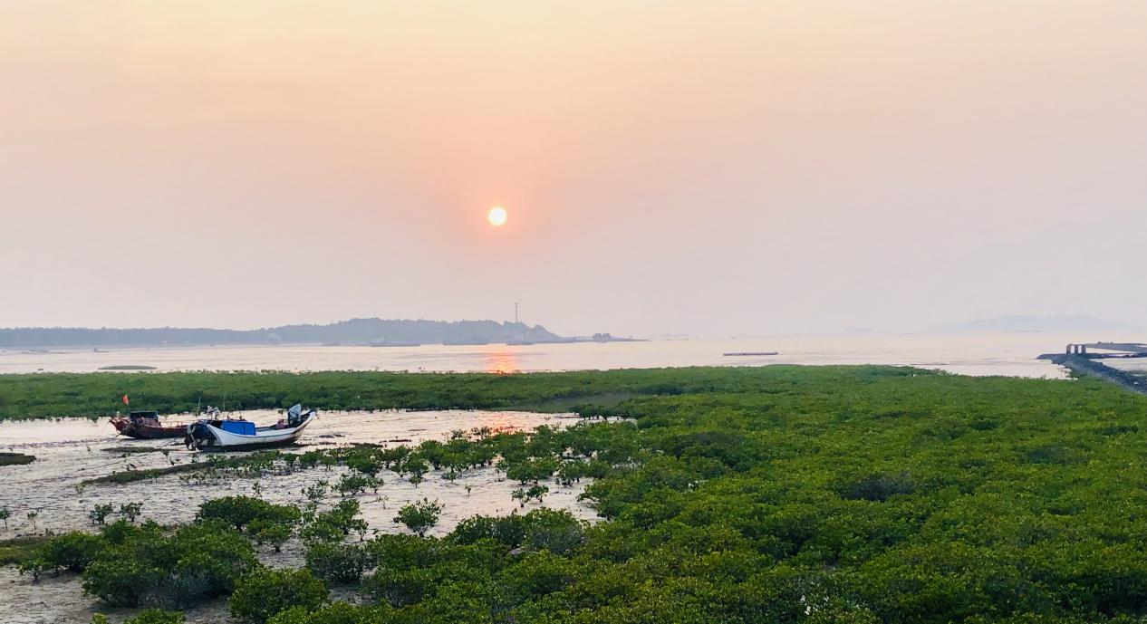 湄洲島風(fēng)光。許雙萍攝