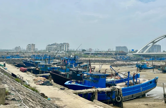 休漁期，漁船靠岸，漁民放起了“暑假”。