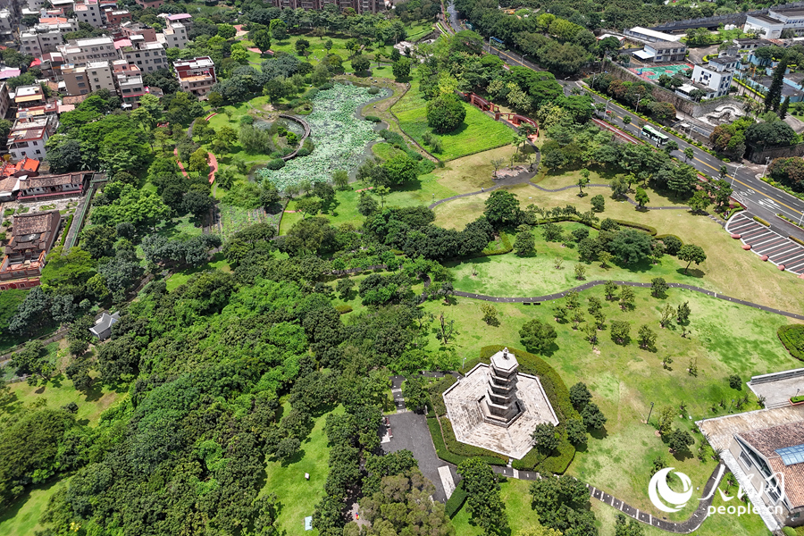 綠意盎然的廈門同安文筆塔公園。人民網(wǎng)記者 陳博攝