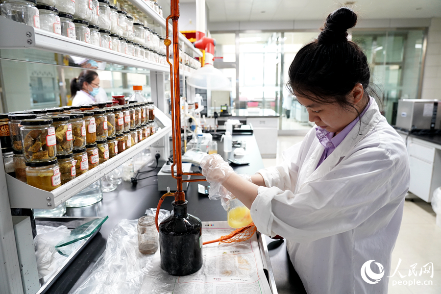 實(shí)驗(yàn)臺(tái)上的瓶瓶罐罐里擺放著各色香料。人民網(wǎng)記者 蘭志飛攝